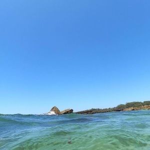 Meet your Posher, Zara